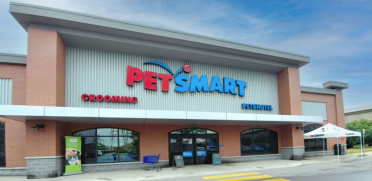 About Our Cat Rescue Home At Last Rescue