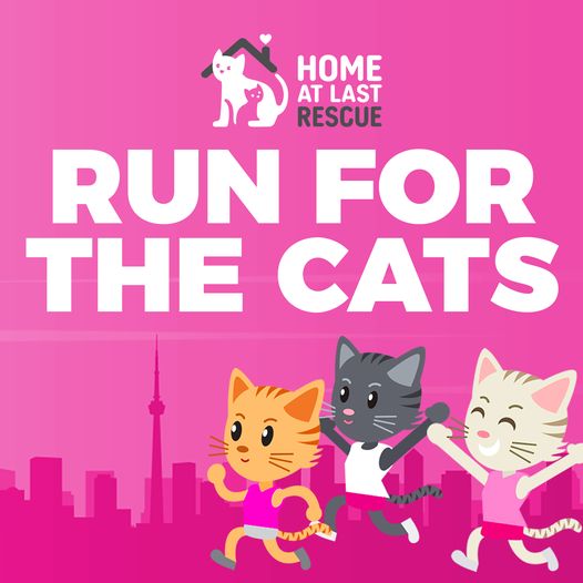 Run for the Cats