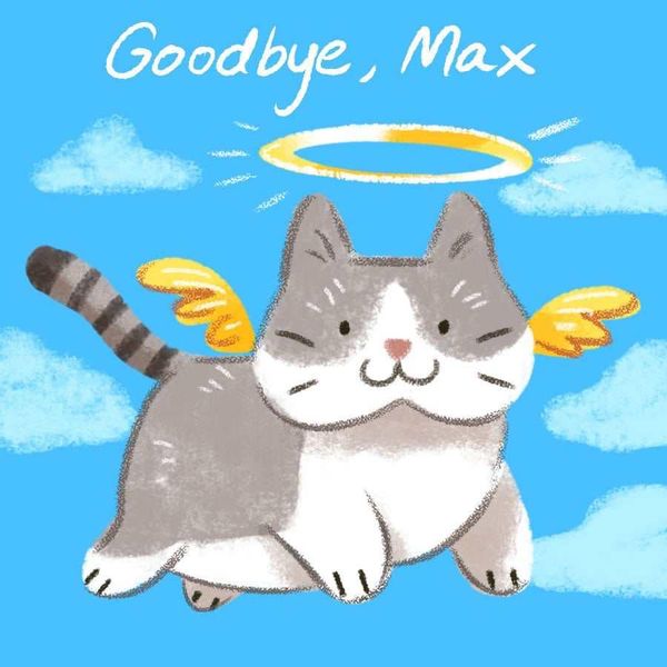 Max in heaven