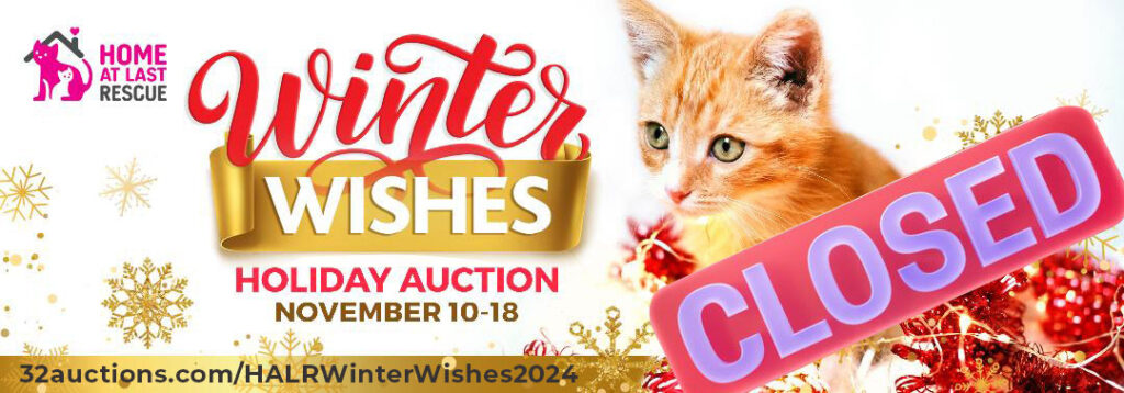 cat auction closed