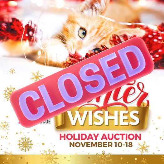 cat auction closed