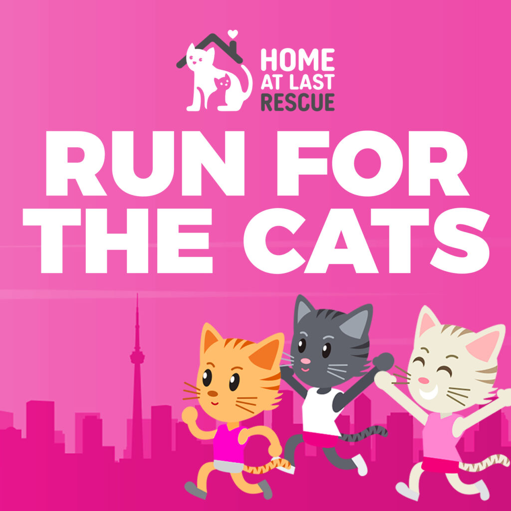 run for the cats