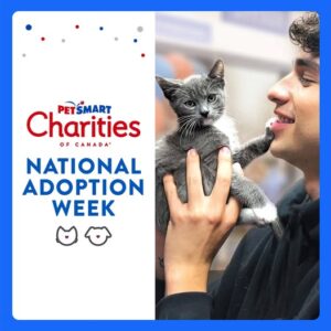 Petsmart adoption week