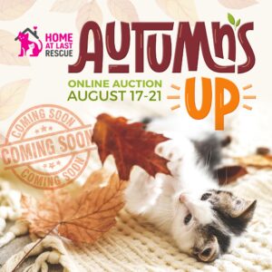 cat auction fall