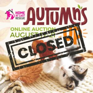 cat auction closed