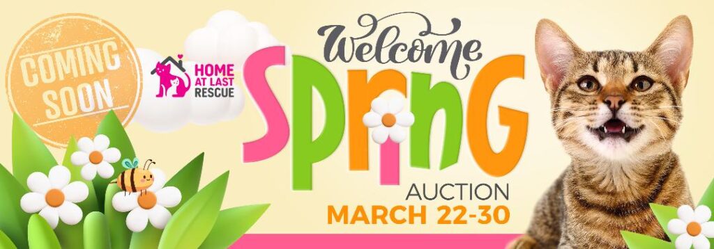 spring cat auction