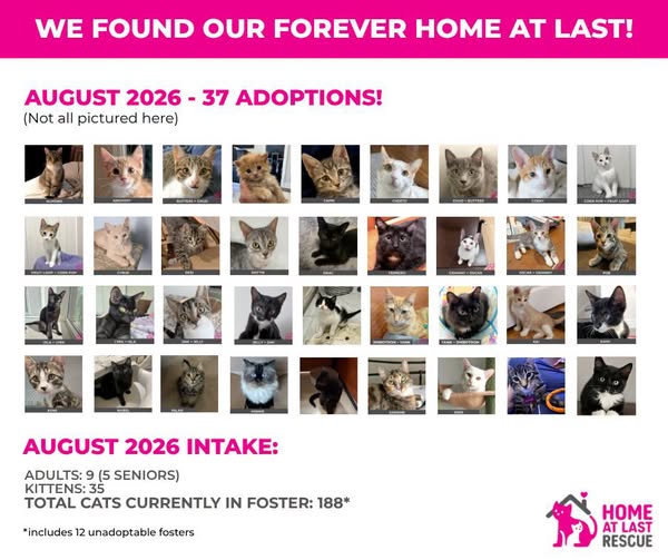 August adoptions