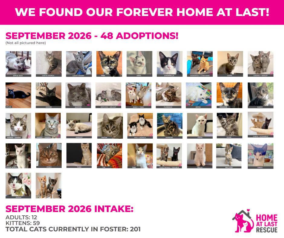 September adoptions